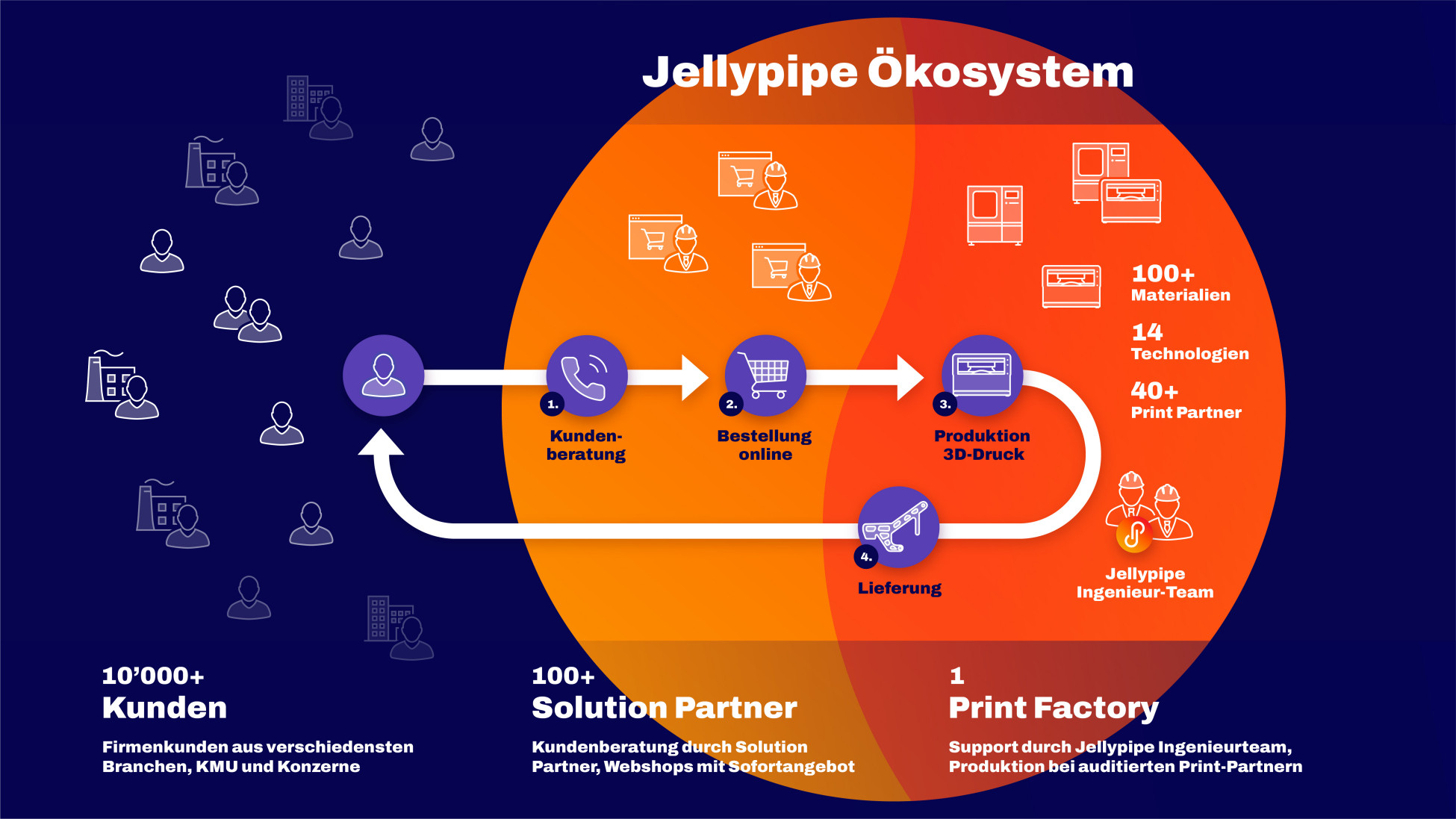 Jellypipe Ökosystem Grafik Jellypipe Ökosystem Grafik