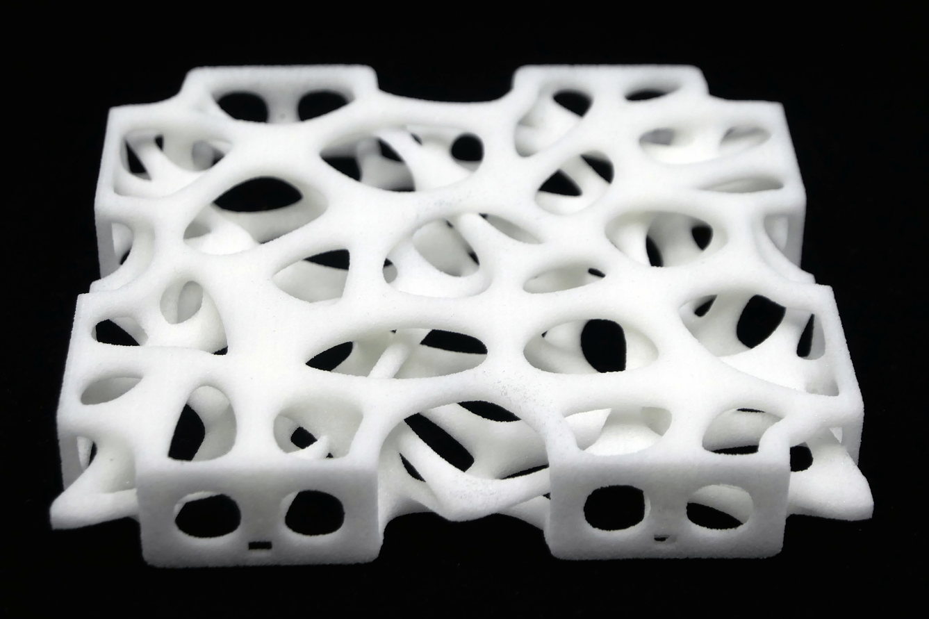 3D-Druck Plexiglas Bionische Struktur Binder Jetting PMMA AE21